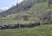 Sòl urbà en venda a la España, Santa Cruz de Tenerife, ref.: TR218062 foto