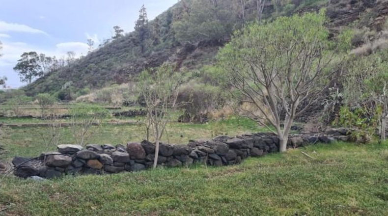 Santa Cruz de Tenerife - Santa Cruz de Tenerife - 377000m2