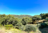 Xalet independent amb terreny en venda a la España, Casares, ref.: TR147840 foto