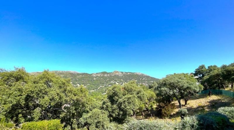 Málaga - Casares - 10000m2