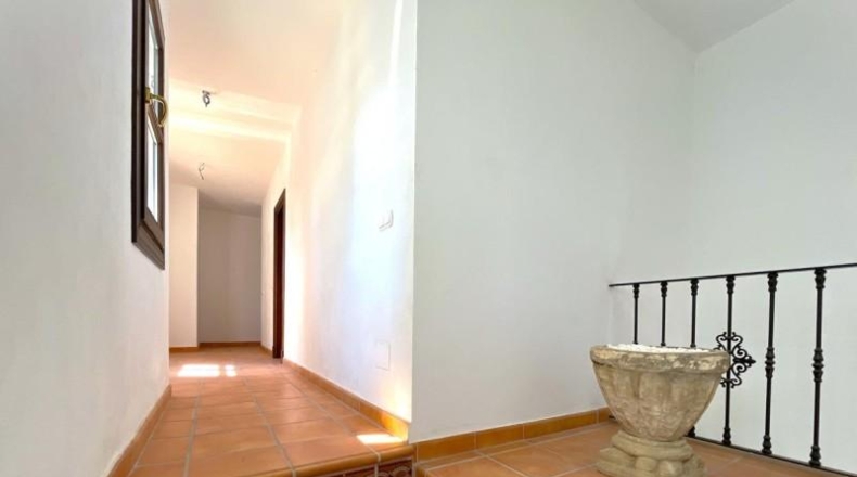 Málaga - Casares - 10000m2
