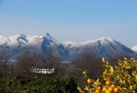 Foto 7