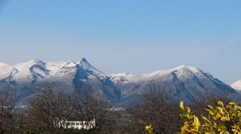 Alicante - Pedreguer - 10000m2