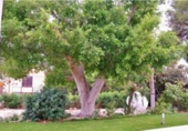 Chalet independiente con terreno en venta en la España, Alicante, ref: TR359937 foto