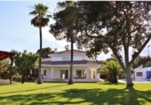 Chalet independiente con terreno en venta en la España, Alicante, ref: TR359937 foto