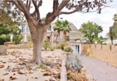 Chalet independiente con terreno en venta en la España, Alicante, ref: TR359937 foto