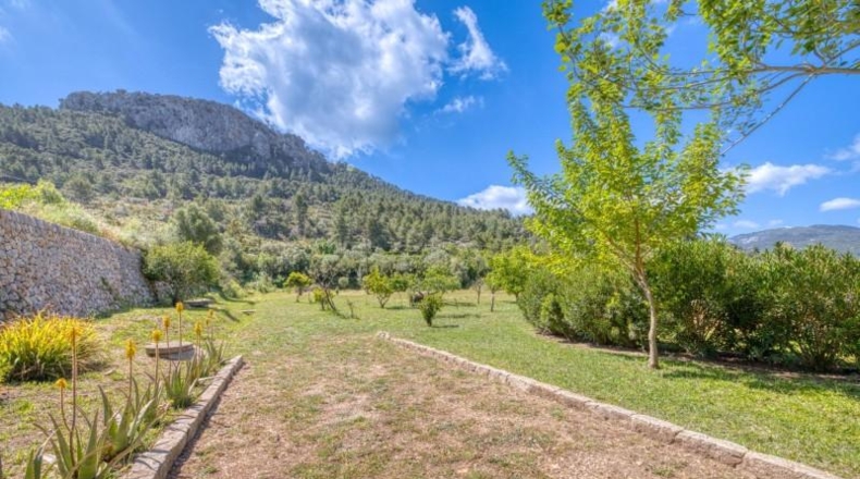 Islas Baleares - Esporlas - 8000m2