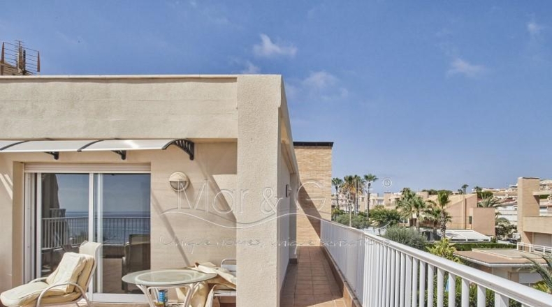Alicante - Alicante - 900m2