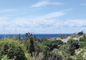 Detached villa with land for sale on España, Marbella, ref: TR340968 photo
