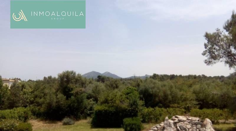 Balearic Islands - Pollensa - 14000m2
