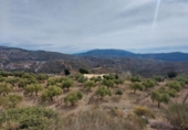 Chalet independiente con terreno en venta en la España, Ugíjar, ref: TR144531 foto