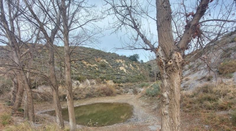 Granada - Ugíjar - 50000m2