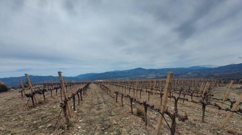 Granada - Ugíjar - 50000m2