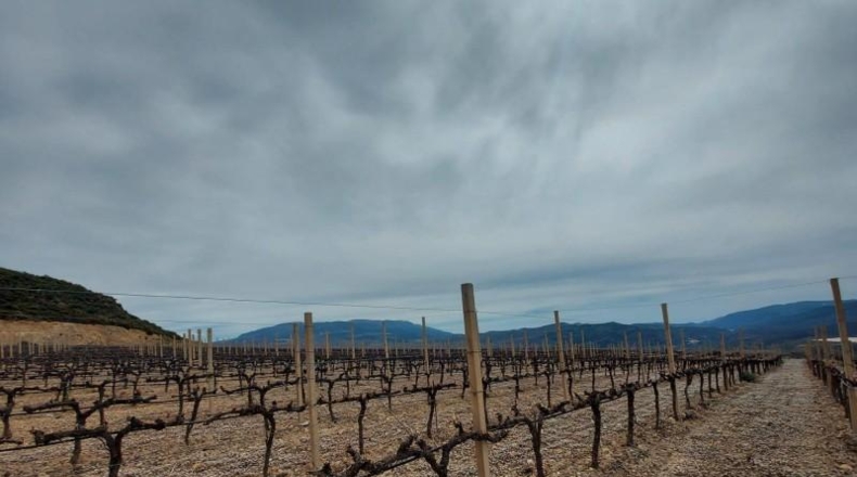 Granada - Ugíjar - 50000m2
