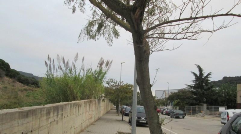 Barcelona - Arenys de Munt - 4809m2