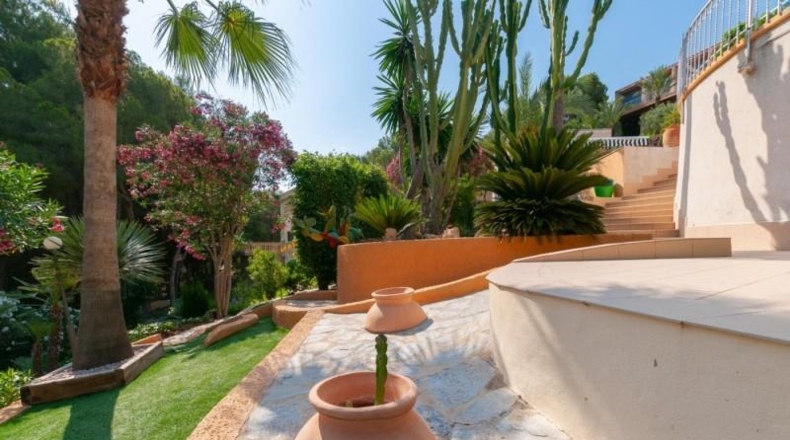 Alicante - Orihuela - 2400m2