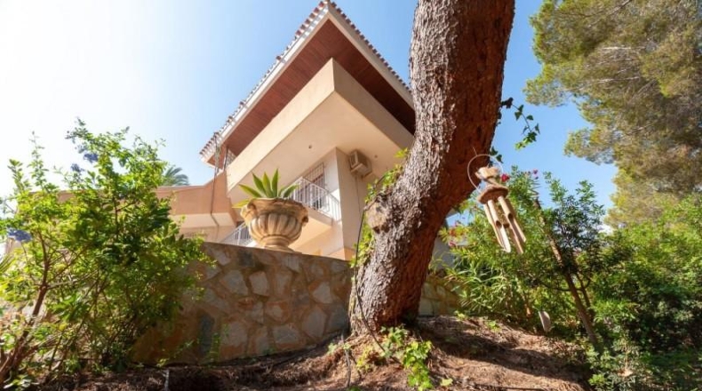 Alicante - Orihuela - 2400m2