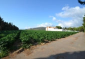 Xalet independent amb terreny en venda a la España, Vinaròs, ref.: TR165221 foto
