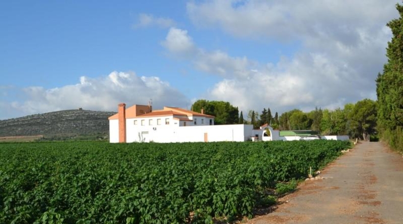 Castellón - Vinaròs - 188836m2