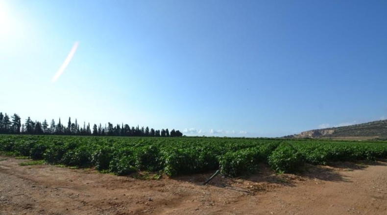 Castellón - Vinaròs - 188836m2