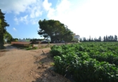 Xalet independent amb terreny en venda a la España, Vinaròs, ref.: TR165221 foto