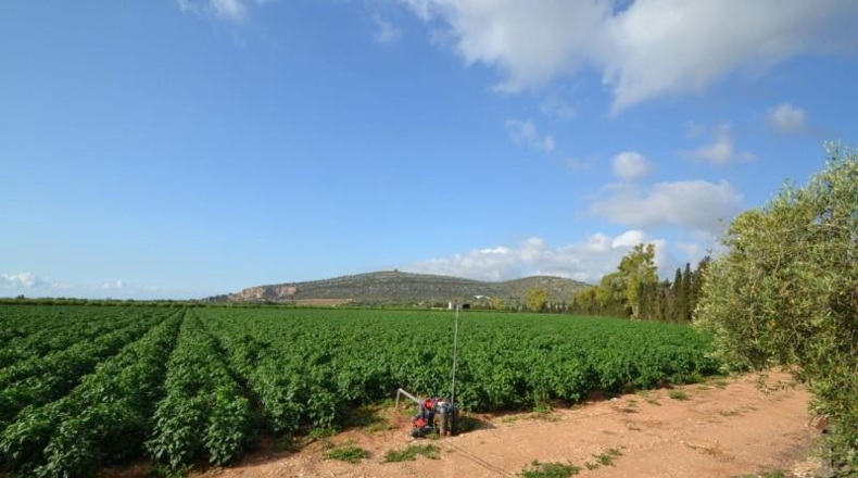 Castellón - Vinaròs - 188836m2