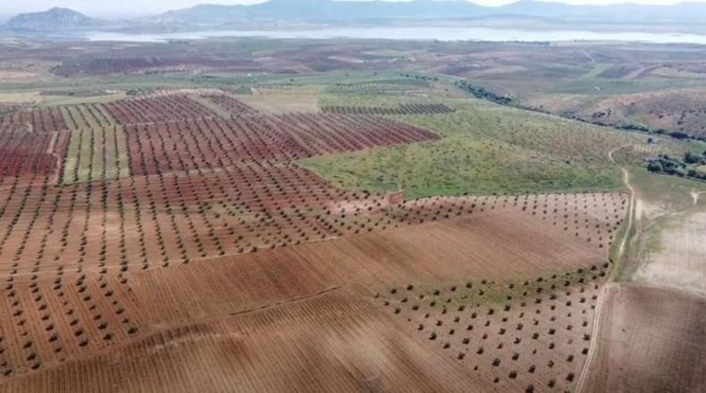 Badajoz - Alange - 1180000m2