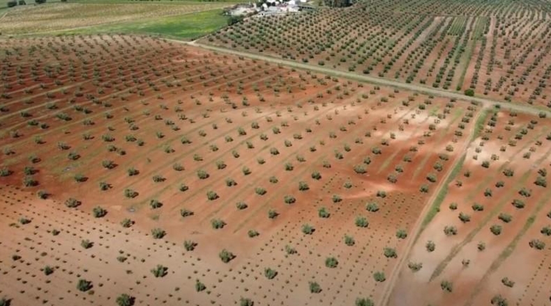 Badajoz - Alange - 1180000m2