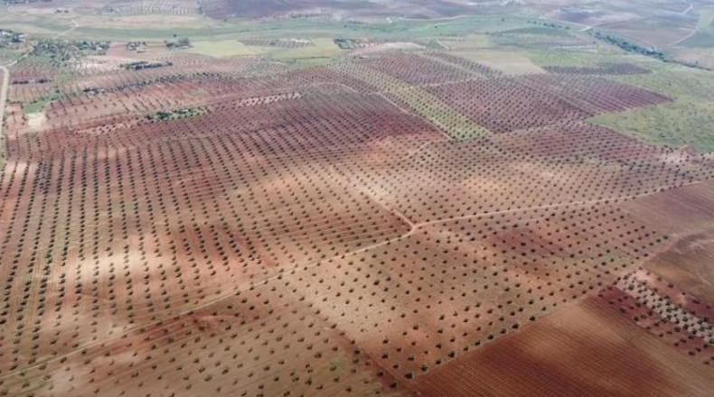 Badajoz - Alange - 1180000m2
