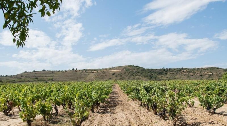 Badajoz - Alange - 1180000m2