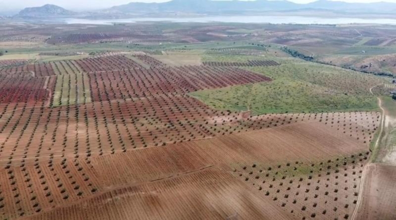 Badajoz - Alange - 1180000m2