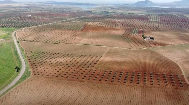 Badajoz - Alange - 1180000m2