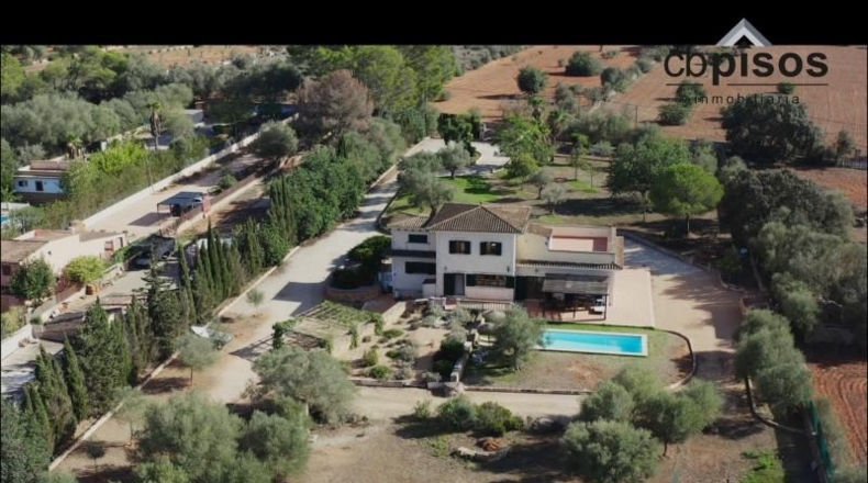 Balearic Islands - Algaida - 15921m2