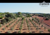 Chalet independiente con terreno en venta en la España, Algaida, ref: TR171558 foto