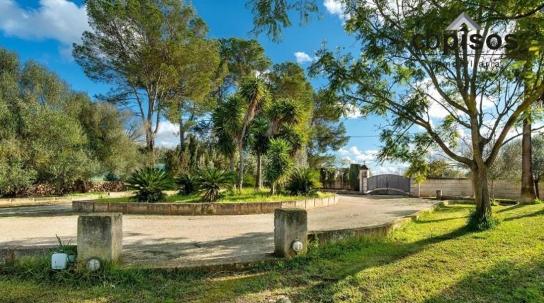 Balearic Islands - Algaida - 15921m2