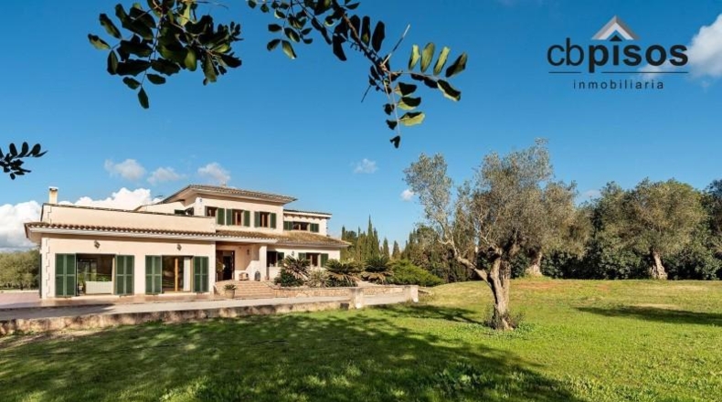 Balearic Islands - Algaida - 15921m2
