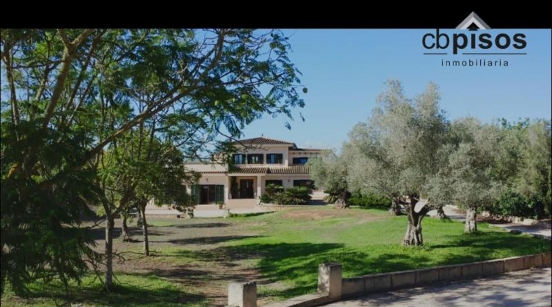 Balearic Islands - Algaida - 15921m2