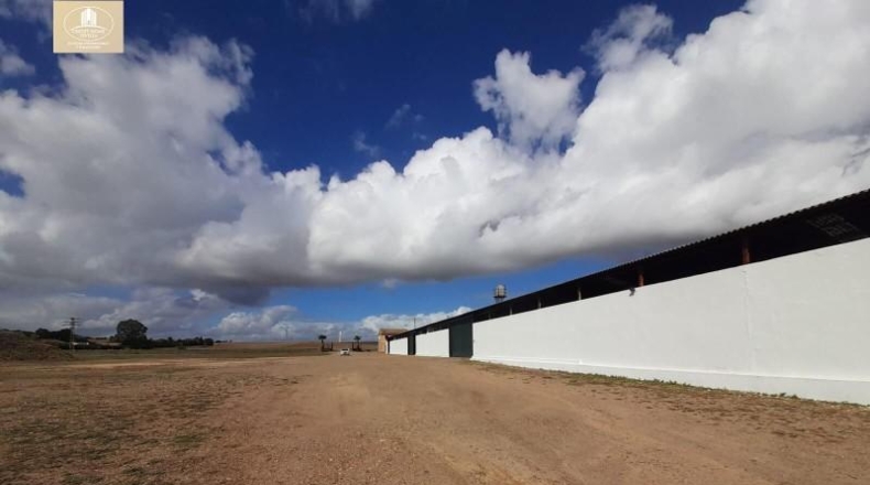 Sevilla - Sanlúcar la Mayor - 30000m2