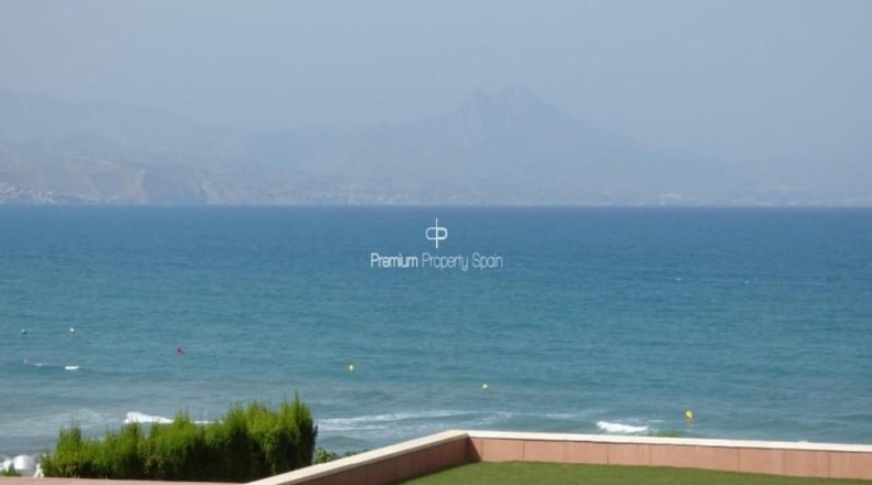Alicante - Alacant - 864m2