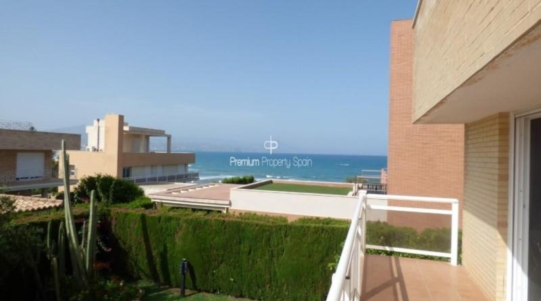 Alicante - Alacant - 864m2