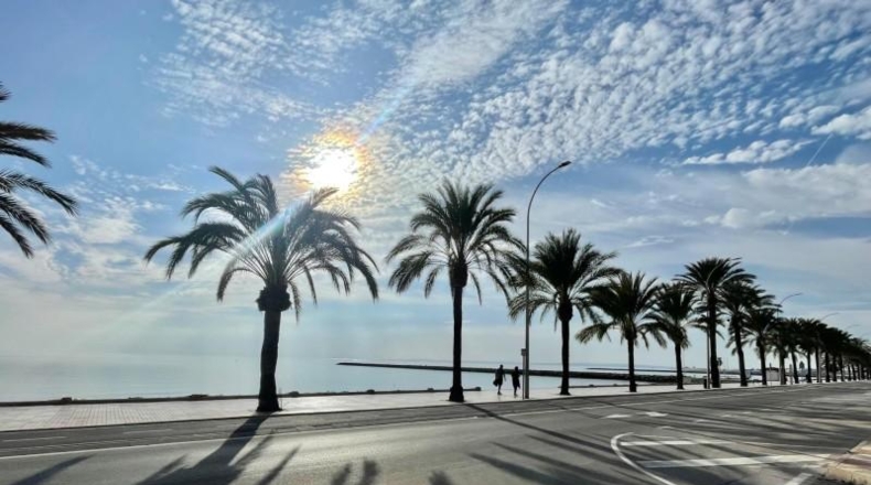 Alicante - Santa Pola - 400m2
