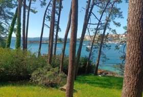 Foto 19