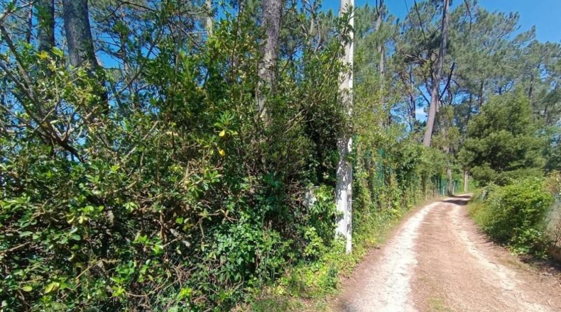 Pontevedra - Sangenjo - 1297m2