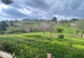 Casa de campo con terreno en venta en la España, Estepona, ref: TR157528 foto