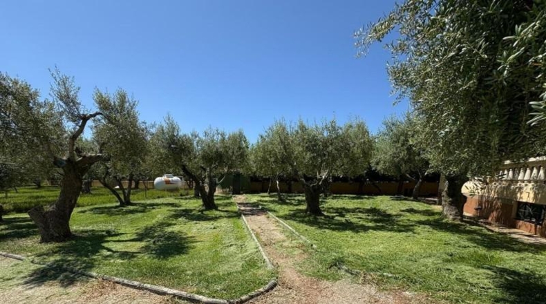 Tarragona - Torredembarra - 5350m2