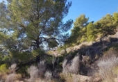 Parcela urbanizable en venta en la España, Finestrat, ref: TR326185 foto