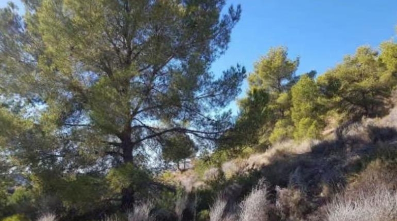 Alicante - Finestrat - 151319m2