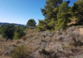 Parcela urbanizable en venta en la España, Finestrat, ref: TR326185 foto