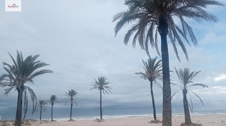 Valencia - Gandía - 2298m2