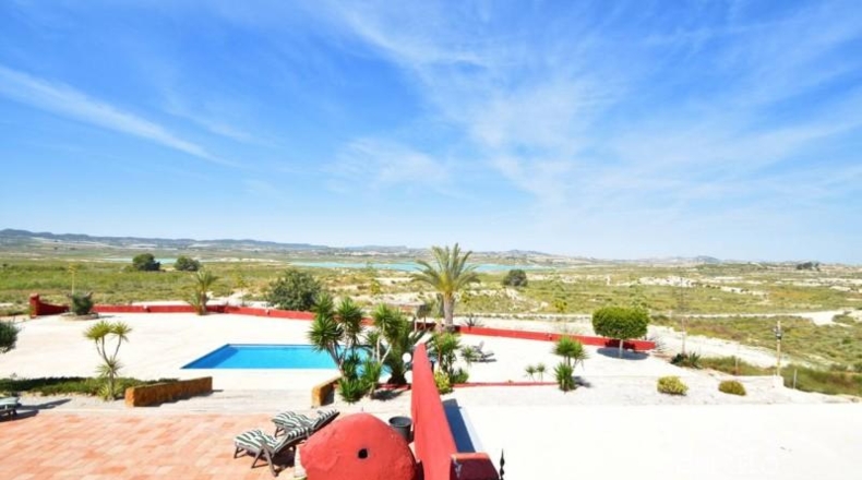 Alicante - Orihuela - 13600m2